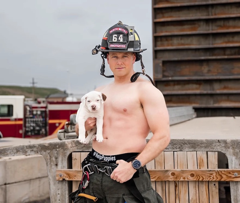 消防救助犬カレンダー2024